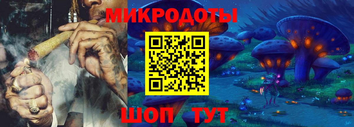Псилоцибиновые грибы Psilocybe Выборг